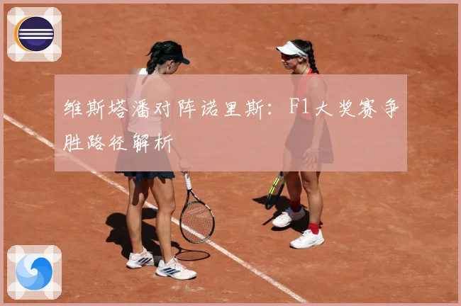 维斯塔潘对阵诺里斯：F1大奖赛争胜路径解析