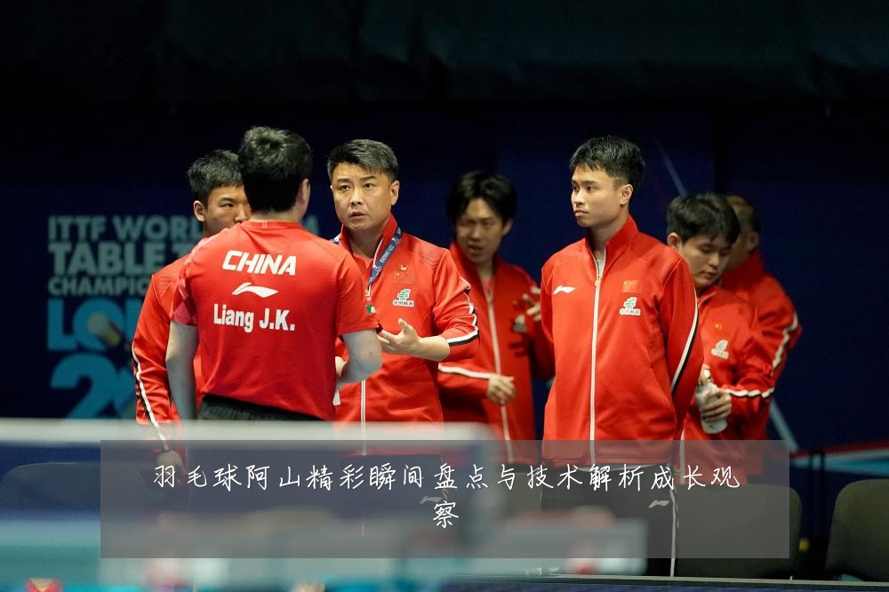 羽毛球阿山精彩瞬间盘点与技术解析成长观察
